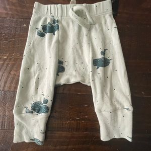 3-6 month kate Quinn